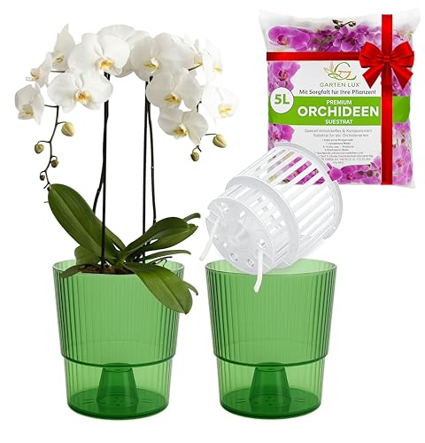 Garten lux 2er-Set Selbstbewässerungstöpfe für Orchideen-Grün, Ø16cm, Orchideentopf 2,7L (Innentopf 1,9L Drainagelöchern mit Docht)+5L Orchideensubstrat für alle Orchideenarten für den Innen