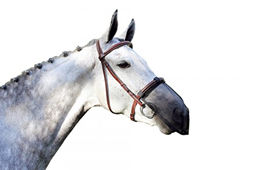 Masque anti-mouches QHP noir au paddock protection intégrale du nez poney S