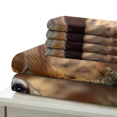 Housse de couette 3D hypoallergénique et douce enseignement maths - 7