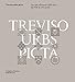 Treviso Urbs Picta. Facciate Affrescate Della Città Dal Xiii Al Xxi Secolo: Conoscenza E Futuro Di Un Bene Comune - 3