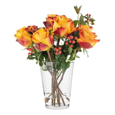 TREND FOR HOME Alyssa Wide Glass Vase Cover