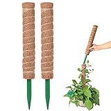 Monbessi 2 Stück 42cm Moosstab Pflanzstab Kokos, Rankhilfe Zimmerpflanzen für Monstera, Efeutute, Scindapsus Aureum, Weinrebe, Zimmerpalme, Strelitzia Reginae ( 2 Stück 42cm Moosstab)