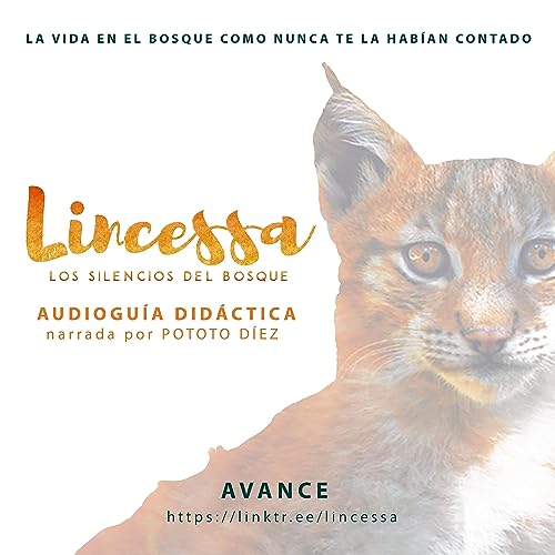 Avance. Audiogu&iacute;a did&aacute;ctica pel&iacute;cula "Lincessa. Los Silencios del Bosque"