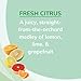 Citrus Magic Solid Air Freshener
