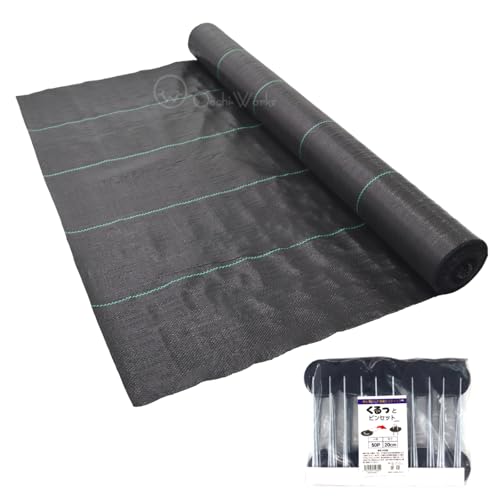 hV[g 1m×50m ƃs50{t Gh~V[g 悯V[g