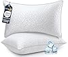 COZSINOOR Queen Size Cooling Bed Pillows - Premium Down Alternative Pillows Set of 2 for Side, Back, and Stomach Sleepers Hotel Quality Plush Soft Microfiber Fill Breathable Skin-Friendly