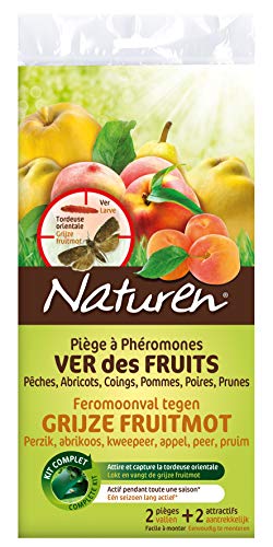 NATUREN Pièges à Phéromone vers des Fruits, Vert Cover
