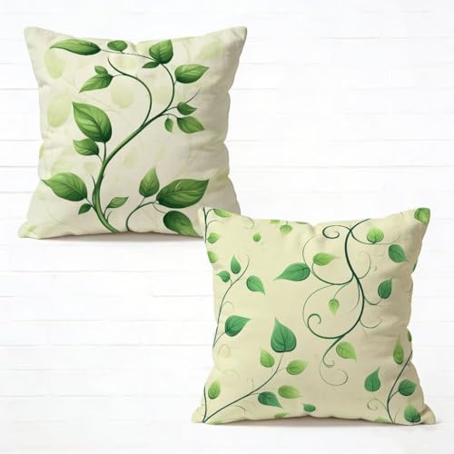 �N�b�V�����J�o�[ 65x65 cm 2���Z�b�g �� ���z�c�J�o�[ 65 x 65 �\�t�@�[ �N�b�V���� ���� �l�C ���O �N�b�V���� �A�� �������J�o�[ �l�p HD���ʈ�� ���_�� �B���t�@�X�i�[�t���C�t�ăR���N�V���� �K�p�Ώ� �ƒ� �I�t�B�X �֎q �x�b