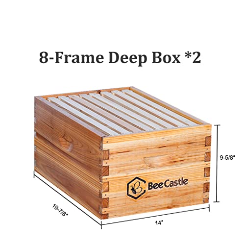 BeeCastle 8 Frame Langstroth Bee Hive Coated with Beeswax Includes Beehive Frames and Waxed Foundations (2 Deep Boxes & 1 Medium Box) - Image 5