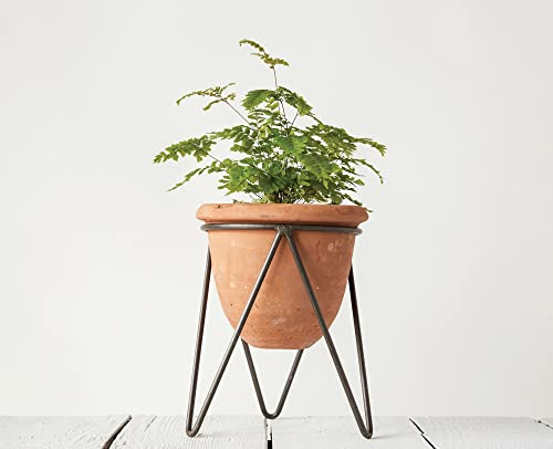 Recopilación y reviews de Macetas Terracota - los mas comprados. 24 Imagen adicional