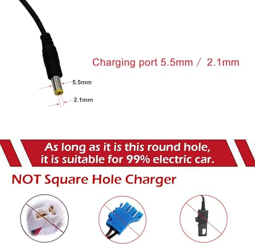 Image of Wishmaster Kids Ride On Bike Charger for All Types 12V