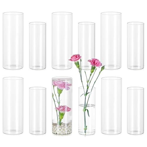 Glasseam Glass Cylinder Vase 12-Pack Clear Bud Flower Vases