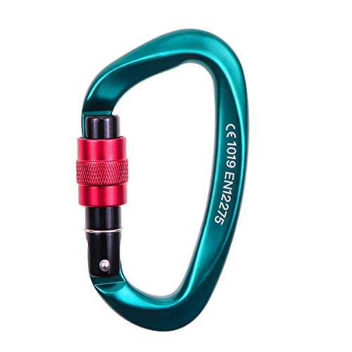 カラビナ 新版ロックカラビナ 25KN(2500kg) Dリング スリング