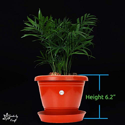 Image of Kraft Seeds 8-inch Garden Balcony Flowering Planter with Bottom Plate /Tray (Red /Terracotta, Pack of +Agro peat /Coco peat (1 KG)