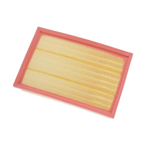 Filtre à air moteur LR005816 pour Freelander 2 L359 essence Si6