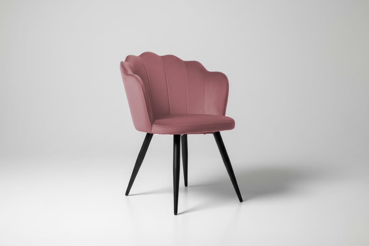 Finch Fox® Blake Luxurious Home Collection Dining Room Chairs in Pink Velvet Material & Stylish Design with Black Metal Powder Coated Legs-image-21