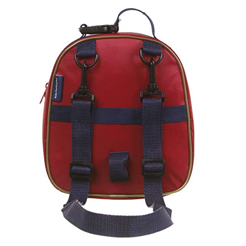 Lancheira, Capitã Marvel, DMW Bags, 11643, Colorido