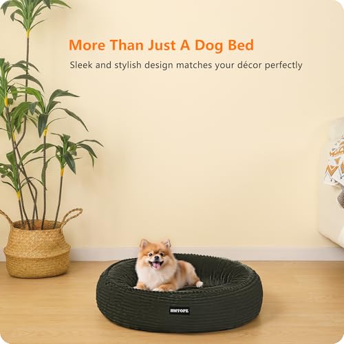 HMTOPE Hundebett Kleine Hunde, Katzenbett Waschbar, Kuscheliges Hundekissen, Rund Cord Hundekorb, Donut, Hundesofa, Abnehmbar und rutschfest, Ø 60 cm, Olivgrün