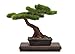 Produktbild Good Smile Company pz03962 die Bonsai. Plastic Model Kit 2 Action Figur