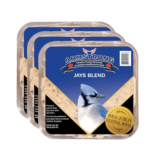 Armstrong Wild Bird Food Royal Jubilee Jay's Blend Suet Cake, 10.6 Ounces (Pack of 3) - for Blue Jays