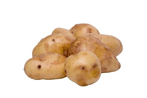 Does Blade Stroke Matter Reciprocating Saw