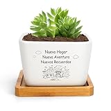 RRIGETEN Regalos Originales para Nueva Casa Regalos para Casa Macetas Decorativas Interior Regalo Nueva Vida Amigos
