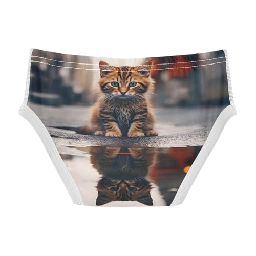 ODAWA Kitten Reflection Tag Free Boys Cotton Underwear, 2T Underwear2