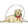 Primitives by kathy christmas yellow lab wooden decorative hanging ornament 5 x 250  urban country home decor