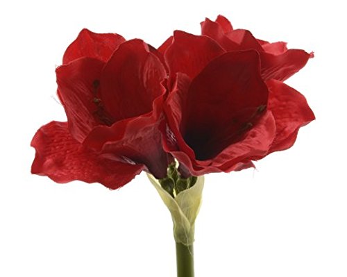 Preisvergleich Produktbild Silk Amaryllis am Stiel