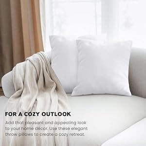   urban country home decor