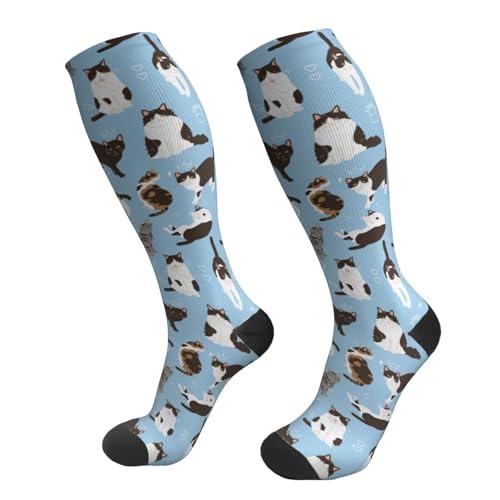 HYEECR Cats Black White Compression Socks For Women Men Circulation Graduated Supports Socks For Athletic Medical Travel Flight