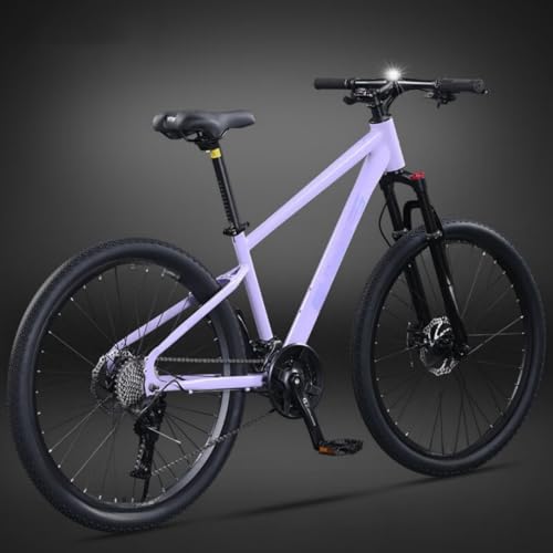 自転車 mtb ディスクブレーキ」の人気商品一覧 | 安い商品を通販サイト