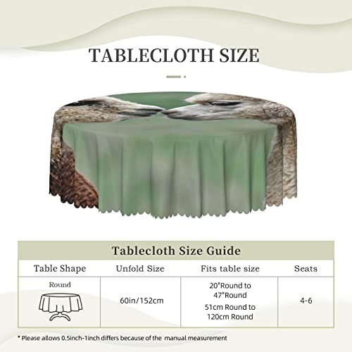 Ocelio Funny Alpaca Round Tablecloth 60 Inch Waterproof Wrinkle Free Table Cloth Table Cover For Dinner Kitchen Party Holiday Decor #TOP6