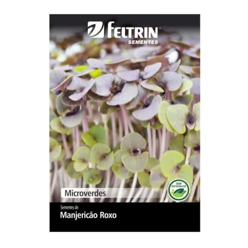 Kit 4 Sementes Microverdes Horta Em Casa Jardins Vasos (Salsa, Mostarda, Cebola, Manjericão Roxo)