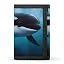 Killer Whale