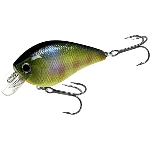 LUCKY CRAFT Fat CB BDS2 Fishing Lure, 2.5" Floating Squarebill Crankbait, 2–3 ft Depth, Freshwater Trout and Bass Lures, Bass Fishing Gear and Tournament Hard Bait, 269 BE Gill