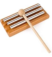 Amkoskr 10 Inches Steel Tongue Drum C Key 11 Notes, Percussion