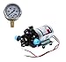 Shurflo 2088-343-500 Bypass 12-Volt Diaphragm Pump with 100 psi Pressure Gauge (Bundle, 2 Items)