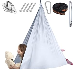 Chihee Sensory Swing Therapy Swing ...