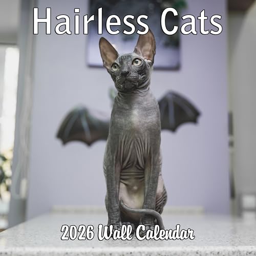 2026 Hairless Cats Monthly Wall Calendar | Cute Sphynx Cats
