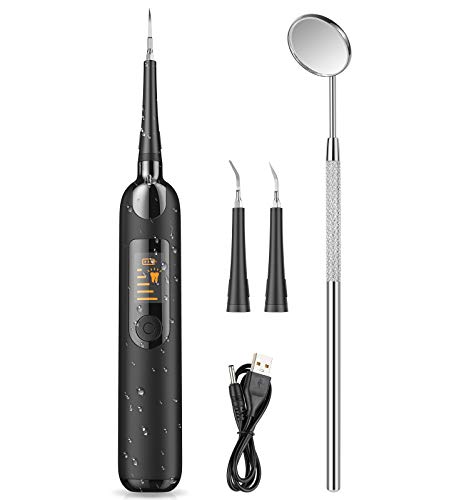 Zahnpflegesets, Zahnstein Entferner mit zwei Köpfe Zahnzwischenraumreiniger 5 Reinigungsmodi USB-Wiederaufladbar, Zur Schützung Ihrer Zähne