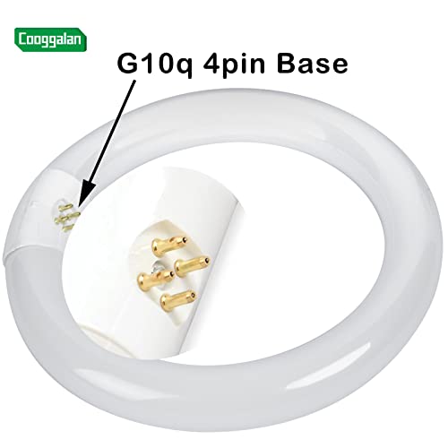 Cooggalan 8 Inch Round T9 22 Watt Circular Fluorescent Light Bulb, Fc8T9/Cw 22W Cool White, Circline Fluorescent Lamp 4100K 1350 Lumens, G10Q 4 Pin Base, 2 Pack #TOP3