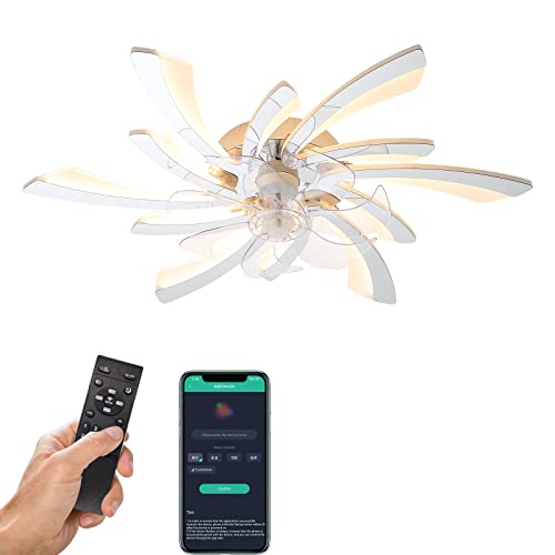 REYDELUZ Ventoinha de teto com luz LED regulável candeeiro de teto moderno com controlo remoto, 3 temperatura de cor e 6 velocidades ventilador de teto com iluminação para (D tommee 78 cm, cromado
