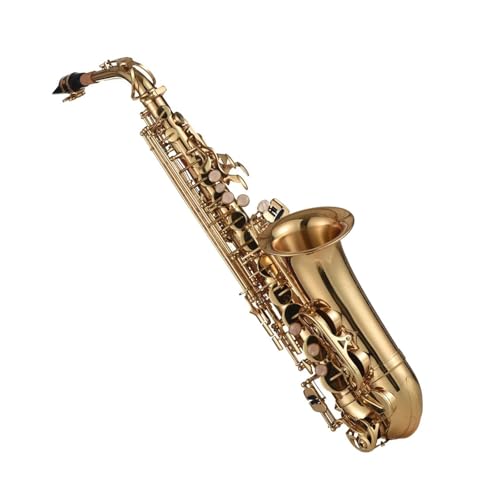 TbNX EAgTbNXi^JdグAS[hj؊ǊyiN[jOuVANXA܁AXgbvApbhtj