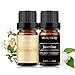 Honeysuckle and Jasmine Essential Oil Set 2 Pack, 100% Pure Diffuser Oil for Massage, Soap Making