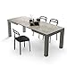 MOBILI FIVER, Mesa de Cocina Iacopo, Color Cemento Gris, Aglomerado y Melamina, Made in Italy