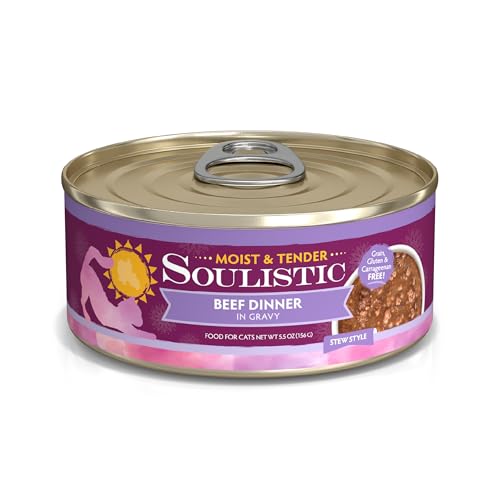 Soulistic Moist and Tender Beef Dinner in Gravy 5.5oz Can Pack of 8