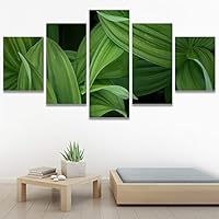 SIGNWIN 5 Panel Canvas Wall Art Organic Arrangement Modern Artwork for Home Decorations Ready to Hang - 60