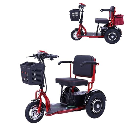 Scooter Eléctrico de Movilidad de 3 Ruedas