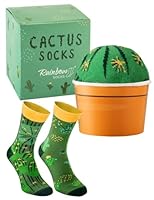 Rainbow Socks - Cactus Box Socks - Ein Kaktus in Einem Blumentopf – Damen Herren Grüne Kaktussocken - 1 Paar - Größen 36-40
